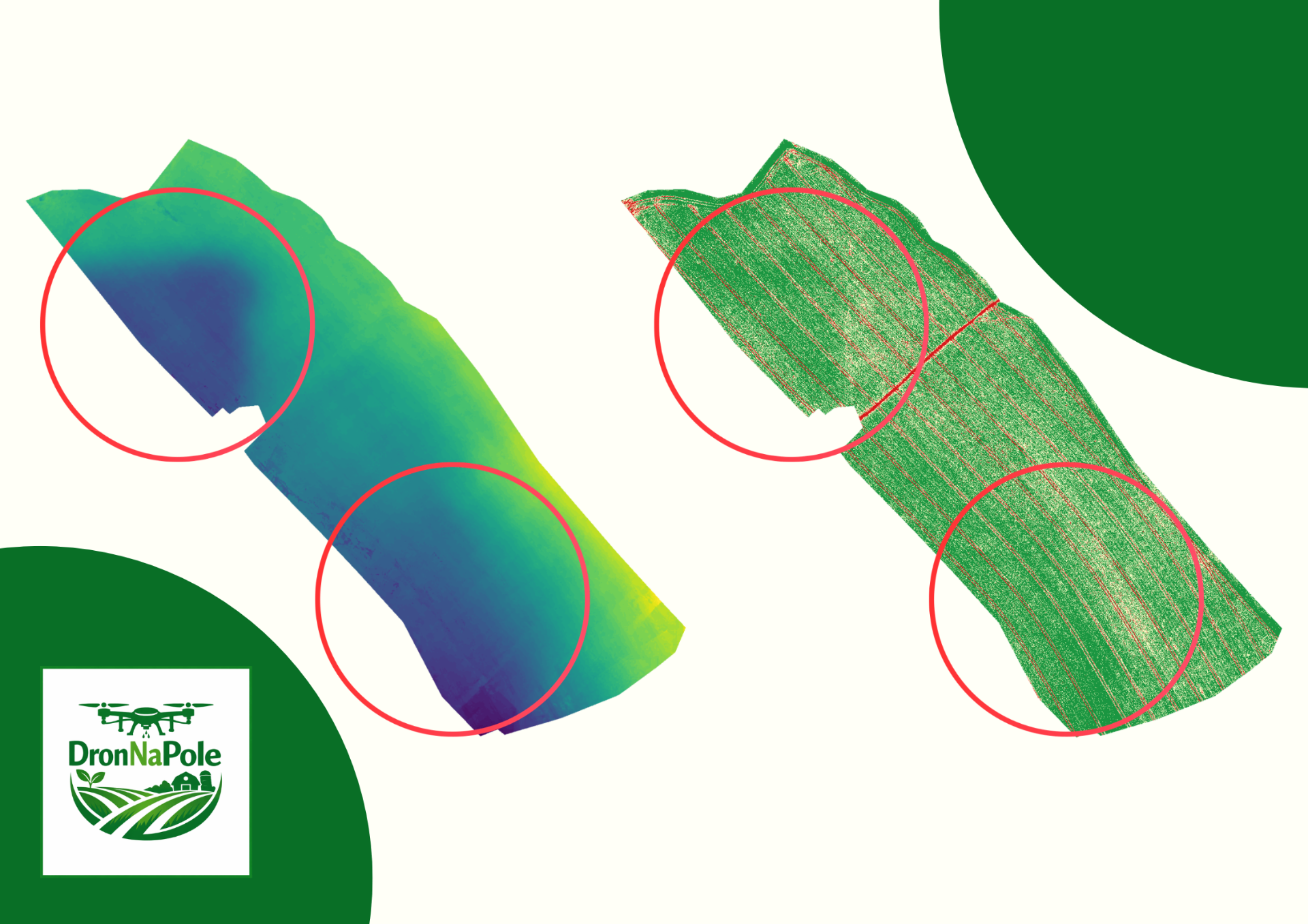 Porównanie mapy wysokościowej i mapy NDVI pola z drona