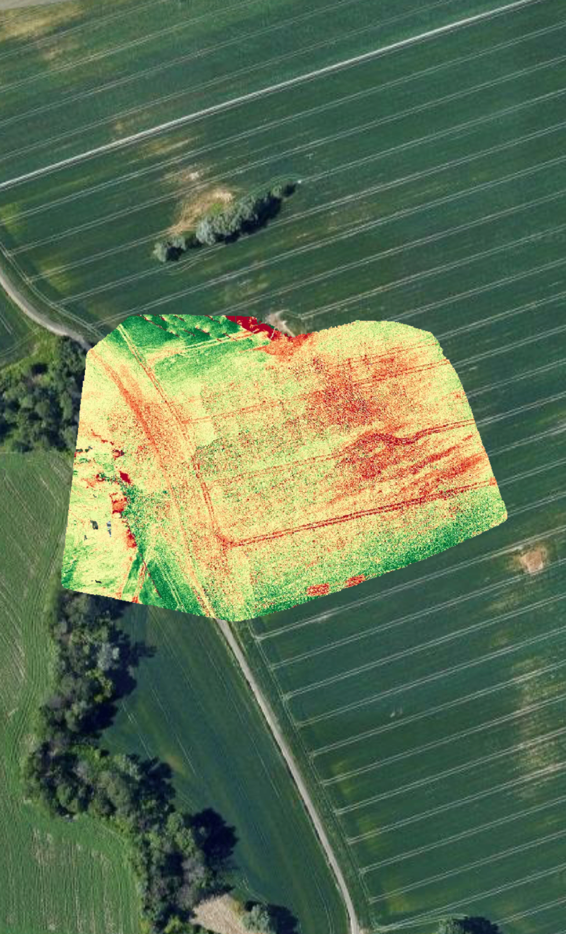 Mapa NDVI kondycji upraw wykonana z drona